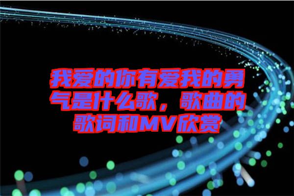 我愛的你有愛我的勇氣是什么歌，歌曲的歌詞和MV欣賞