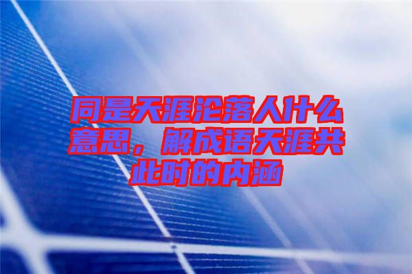 同是天涯淪落人什么意思，解成語(yǔ)天涯共此時(shí)的內(nèi)涵