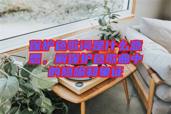 保護色歌詞是什么意思，解保護色歌曲中的隱喻和象征