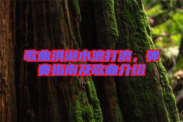 歌曲洪湖水浪打浪，彈奏指南及歌曲介紹