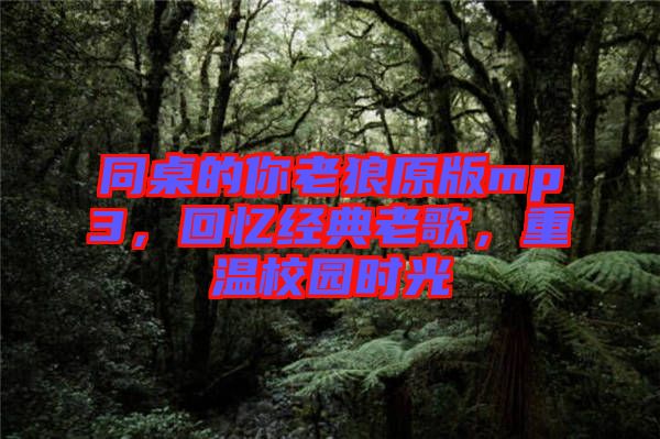 同桌的你老狼原版mp3，回憶經(jīng)典老歌，重溫校園時(shí)光