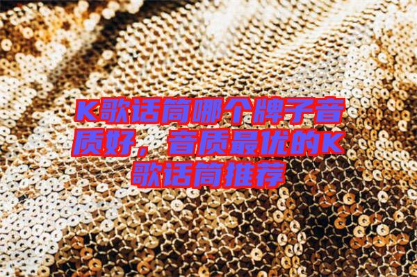 K歌話筒哪個(gè)牌子音質(zhì)好，音質(zhì)最優(yōu)的K歌話筒推薦