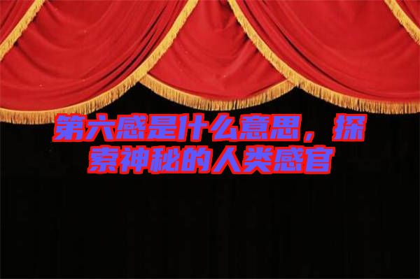 第六感是什么意思，探索神秘的人類感官