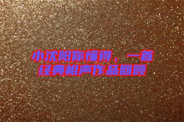 小沈陽你懂得，一首經典相聲作品回顧