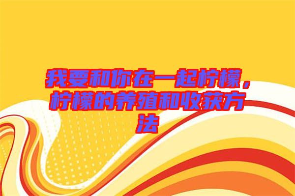 我要和你在一起檸檬，檸檬的養(yǎng)殖和收獲方法