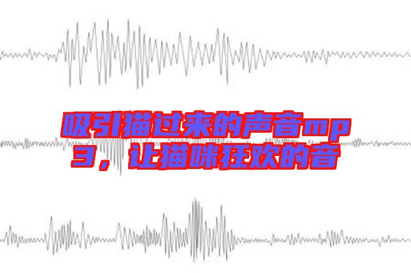 吸引貓過(guò)來(lái)的聲音mp3，讓貓咪狂歡的音