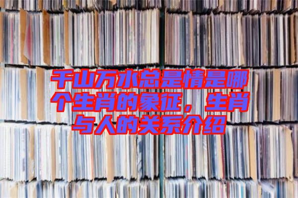 千山萬(wàn)水總是情是哪個(gè)生肖的象征，生肖與人的關(guān)系介紹