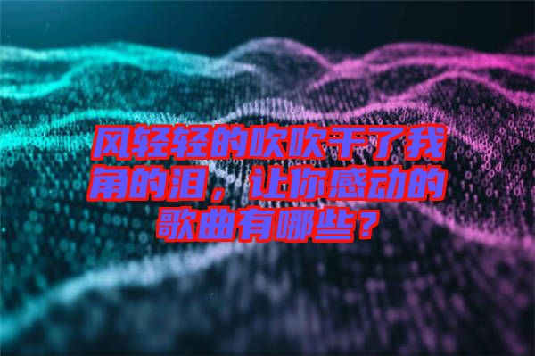風(fēng)輕輕的吹吹干了我角的淚，讓你感動的歌曲有哪些？
