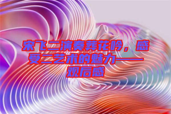 宋飛二演奏葬花吟，感受二藝術(shù)的魅力——觀后感