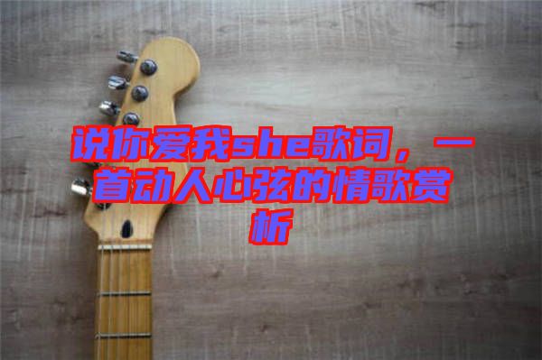 說你愛我she歌詞，一首動人心弦的情歌賞析