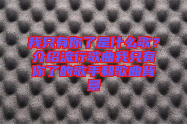 我只有你了是什么歌？介紹流行歌曲我只有你了的歌手和歌曲背景