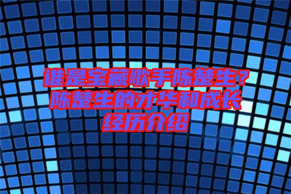 誰是寶藏歌手陳楚生？陳楚生的才華和成長經(jīng)歷介紹