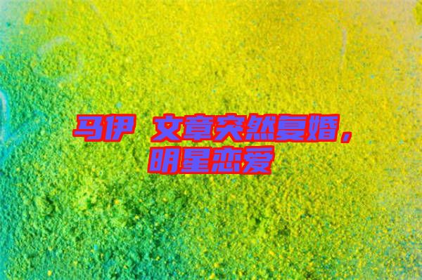 馬伊琍文章突然復婚，明星戀愛