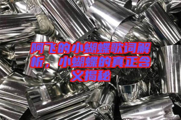 阿飛的小蝴蝶歌詞解析，小蝴蝶的真正含義揭秘