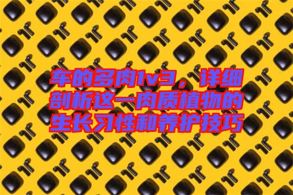 車的多肉1v3，詳細(xì)剖析這一肉質(zhì)植物的生長習(xí)性和養(yǎng)護(hù)技巧