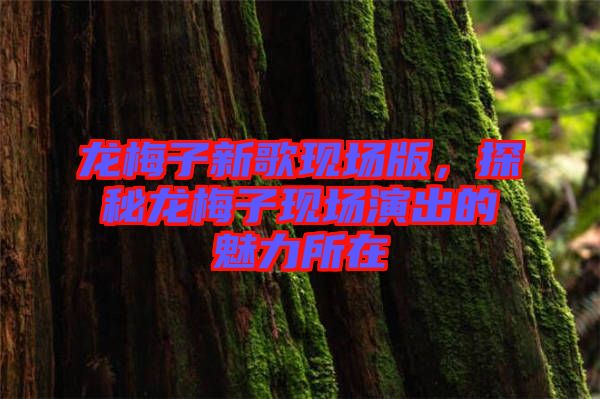 龍梅子新歌現(xiàn)場(chǎng)版，探秘龍梅子現(xiàn)場(chǎng)演出的魅力所在
