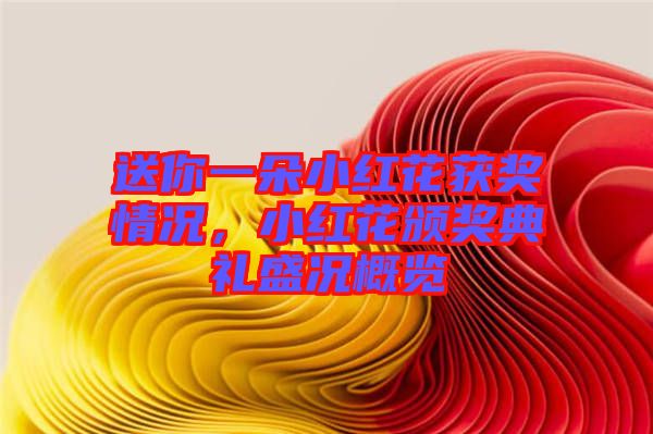 送你一朵小紅花獲獎(jiǎng)情況，小紅花頒獎(jiǎng)典禮盛況概覽
