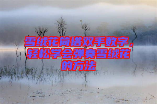 雪絨花簡(jiǎn)譜雙手?jǐn)?shù)字，輕松學(xué)會(huì)彈奏雪絨花的方法