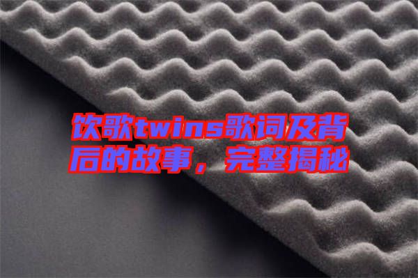 飲歌twins歌詞及背后的故事，完整揭秘