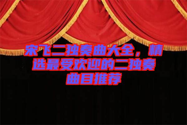 宋飛二獨奏曲大全，精選最受歡迎的二獨奏曲目推薦