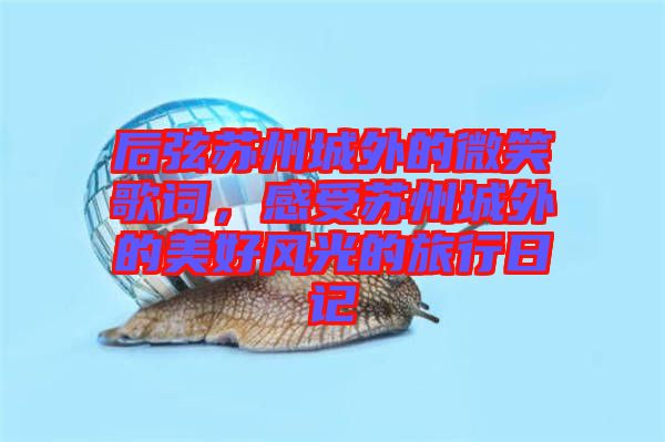 后弦蘇州城外的微笑歌詞，感受蘇州城外的美好風(fēng)光的旅行日記