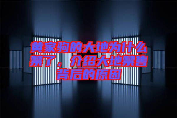 黃家駒的大地為什么禁了，介紹大地禁售背后的原因