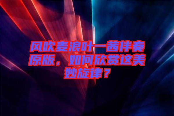 風(fēng)吹麥浪葉一茜伴奏原版，如何欣賞這美妙旋律？