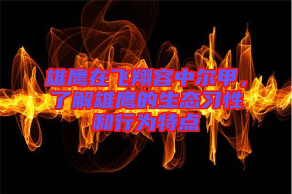 雄鷹在飛翔容中爾甲，了解雄鷹的生態(tài)習(xí)性和行為特點(diǎn)