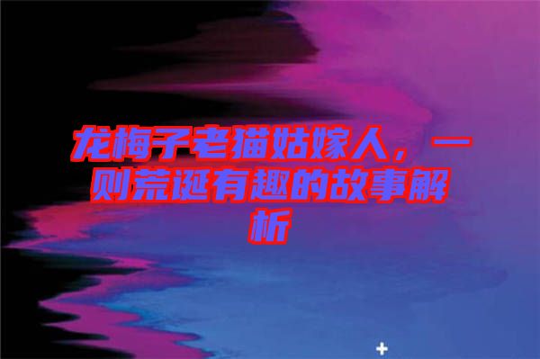 龍梅子老貓姑嫁人，一則荒誕有趣的故事解析
