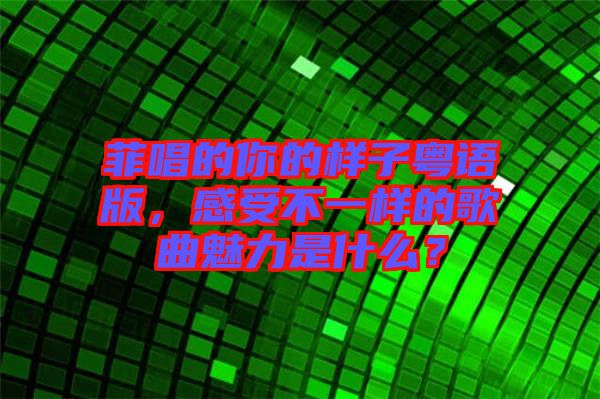 菲唱的你的樣子粵語(yǔ)版，感受不一樣的歌曲魅力是什么？