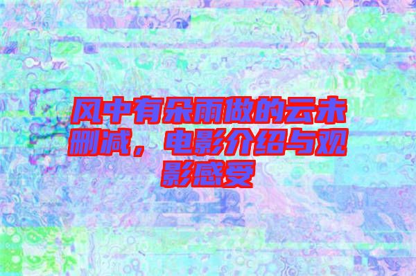 風(fēng)中有朵雨做的云未刪減，電影介紹與觀影感受