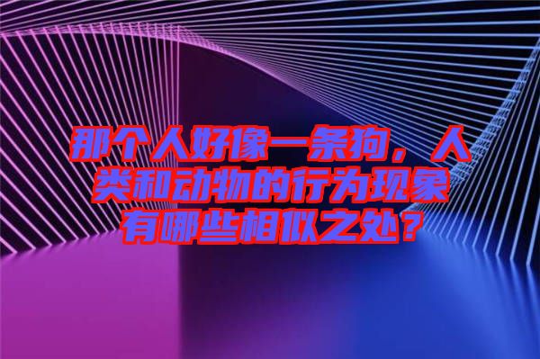 那個人好像一條狗，人類和動物的行為現(xiàn)象有哪些相似之處？