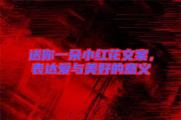 送你一朵小紅花文案，表達(dá)愛(ài)與美好的意義