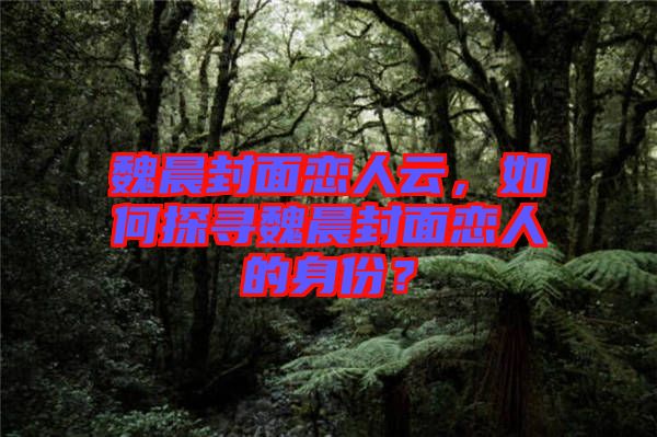 魏晨封面戀人云，如何探尋魏晨封面戀人的身份？