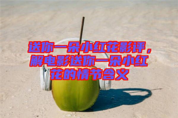 送你一朵小紅花影評，解電影送你一朵小紅花的情節(jié)含義