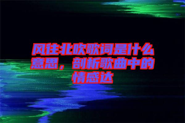 風往北吹歌詞是什么意思，剖析歌曲中的情感達