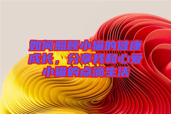 如何照顧小貓的健康成長(zhǎng)，分享我和心愛(ài)小貓的點(diǎn)滴生活
