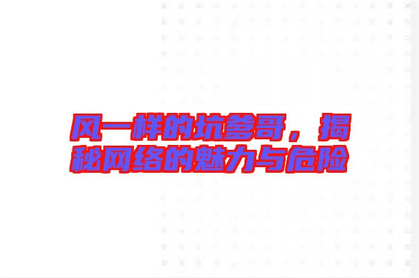 風(fēng)一樣的坑爹哥，揭秘網(wǎng)絡(luò)的魅力與危險