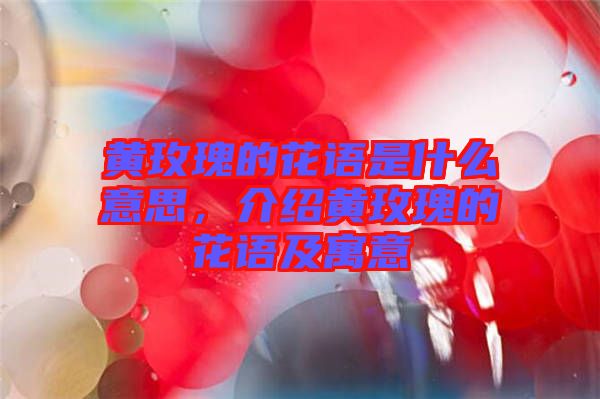 黃玫瑰的花語是什么意思，介紹黃玫瑰的花語及寓意