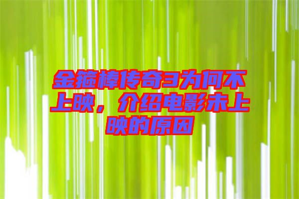 金箍棒傳奇3為何不上映，介紹電影未上映的原因