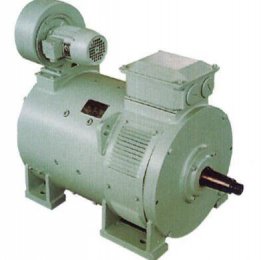 四川省張先生訂購(gòu)ZZJ-800傳動(dòng)直流電動(dòng)機(jī)